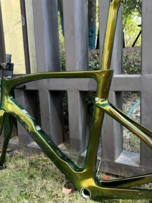 Pina Frame Shape（Green）