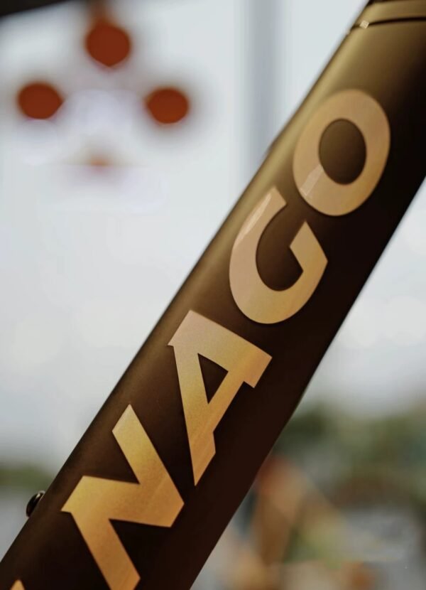 COLNAGO v5rs Carbon Fiber Bike Frame