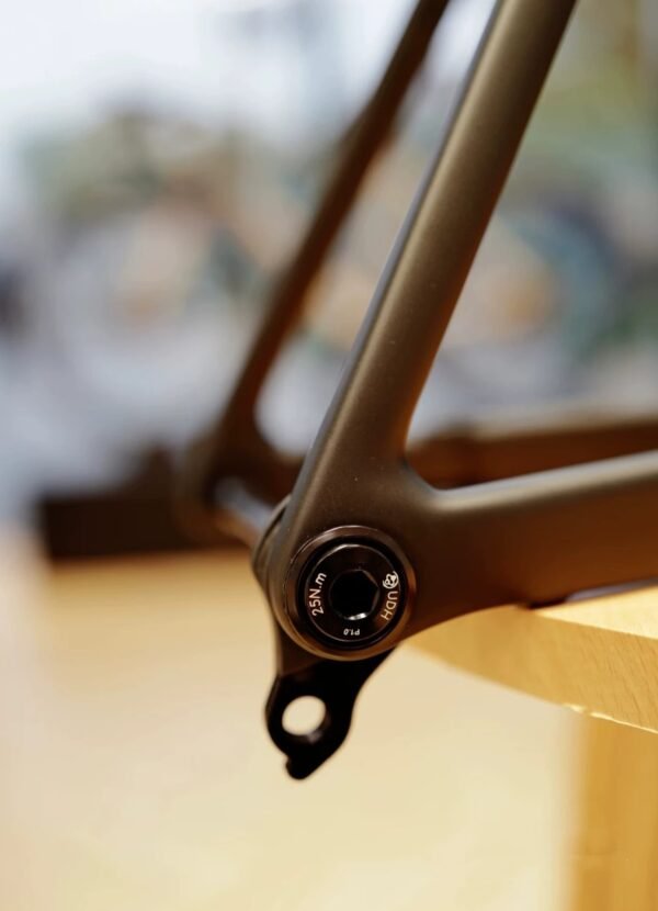 COLNAGO v5rs Carbon Fiber Bike Frame