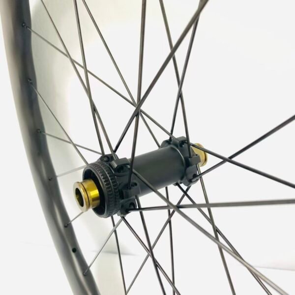 Princeton 4550 carbon fiber wheelset, DT same 36T ratchet hub