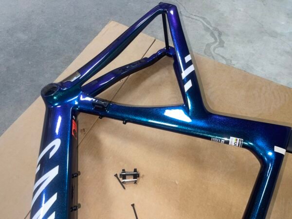 Canyon Carbon Fiber Road Frame (Chameleon)