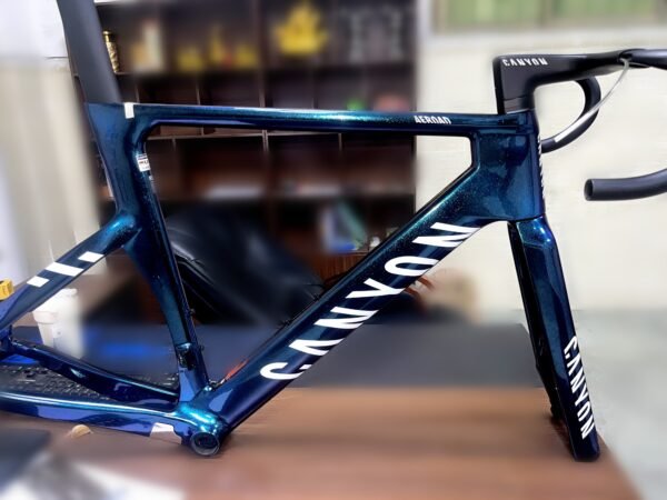 Canyon Carbon Fiber Road Frame (Chameleon)