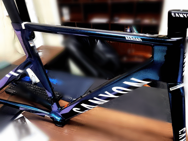 Canyon Carbon Fiber Road Frame (Chameleon)