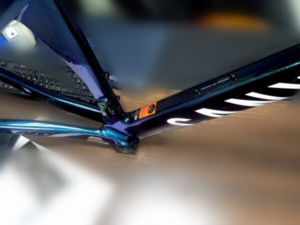 Canyon Carbon Fiber Road Frame (Chameleon)